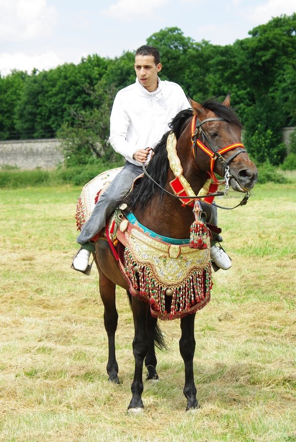 Le Moussem des Cultures 2008 096.jpg